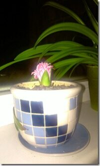IMAG0144
