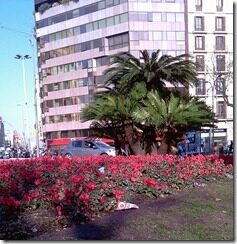IMAG0214