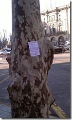 IMAG0217